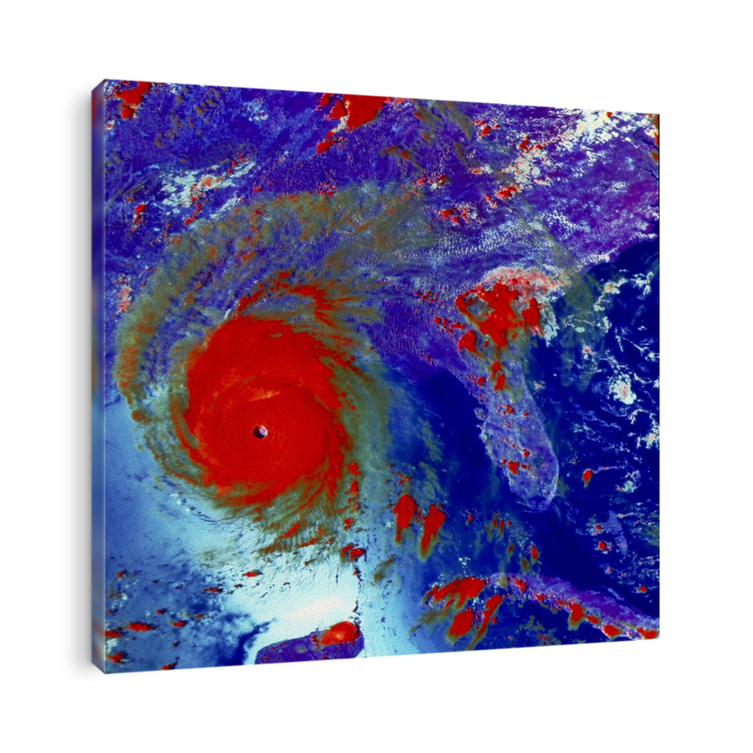 Hurricane Andrew. Coloured satellite image of Hurricane Andrew. North is at top. The hurricane is the spiral of clouds (coloured red) around the central, calm, clear eye. Areas of sea are light/dark blue and land is purple. This image was made when the storm was in the Gulf of Mexico after passing over Florida (centre right), USA. Winds in the storm reached sustained speeds of 230 kilometres per hour and caused over $20 billion of damage. The storm then travelled north to Louisiana before dispersing. The data for this image was obtained by the GOES-7 on 25 August 1992.